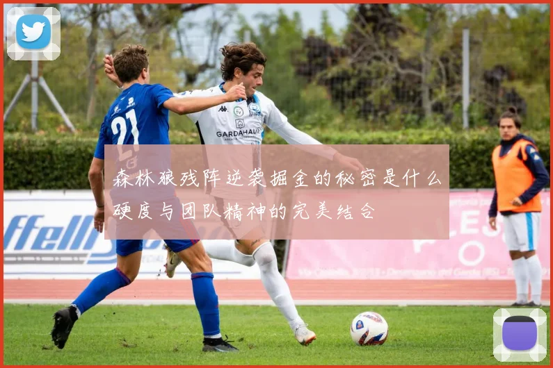 森林狼残阵逆袭掘金的秘密是什么硬度与团队精神的完美结合