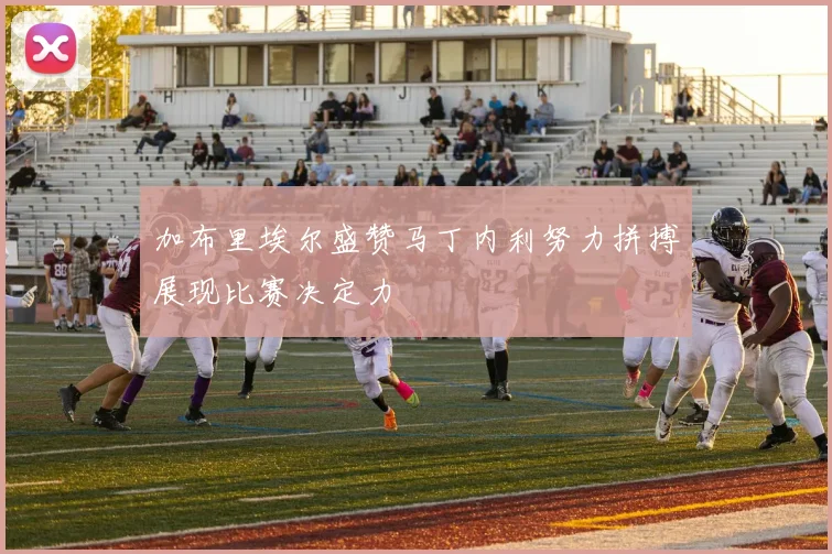 加布里埃尔盛赞马丁内利努力拼搏展现比赛决定力