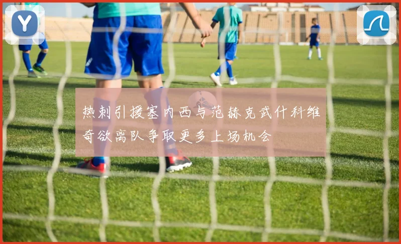 热刺引援塞内西与范赫克武什科维奇欲离队争取更多上场机会