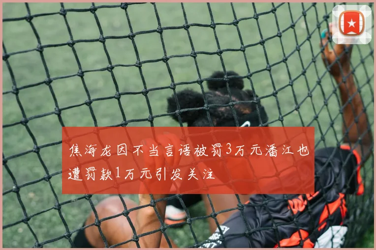 焦海龙因不当言语被罚3万元潘江也遭罚款1万元引发关注